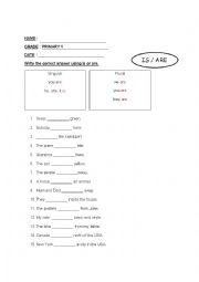 English Worksheet: Grammar PRIMARY 1