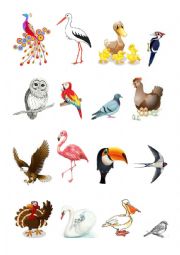 English Worksheet: Birds and their names