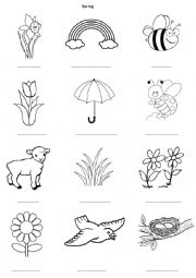 English Worksheet: SPRING VOCABULARY