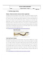 English Worksheet: Fossils