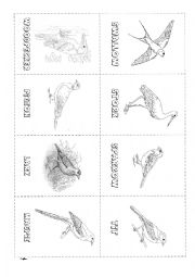 English Worksheet: Birds Flashcards 1