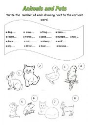 English Worksheet: Animals and pets
