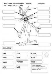 BODY PARTS WITH COLORING THEME 2