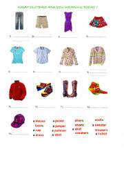 English Worksheet: What clothes are you wearing today ?