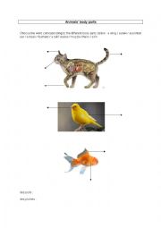 English Worksheet: Animals body parts