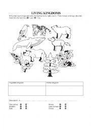 English Worksheet: living kingdom