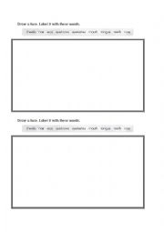 English Worksheet: Draw and label the face
