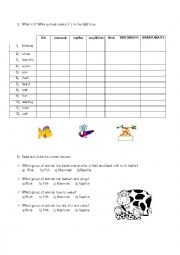 English Worksheet: animals groups: mammals/reptiles/amphibians/birds/vertebrates/fish/invertebrates ...