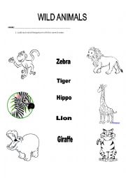 English Worksheet: Wild animals