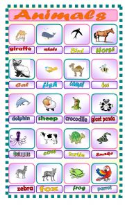 English Worksheet: Animals 