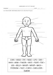 English Worksheet: HUMAN BODY