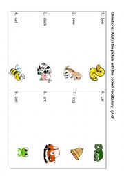 English Worksheet: match the picture with its vocabulary