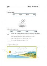 English Worksheet: plants and nature