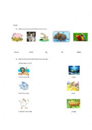 English Worksheet: Animals