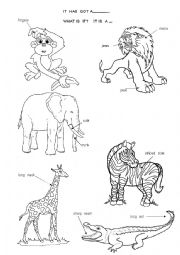 English Worksheet: Animals