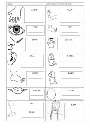 English Worksheet: PARTS OF THE BODY FOR KIDS