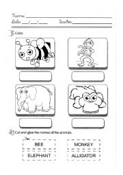 English Worksheet: Animals