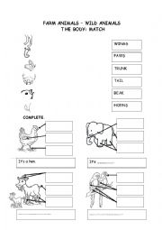 English Worksheet: Animals body