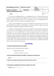 English Worksheet: Reading comprehension