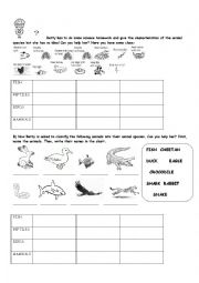 English Worksheet: Animal Species