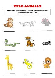 English Worksheet: Wild Animals