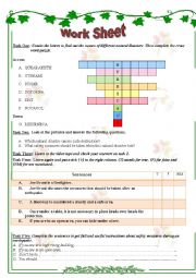 English Worksheet: safety measures