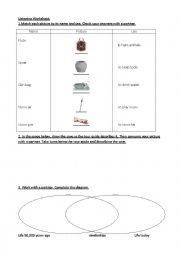 English Worksheet: The life of cavemen 