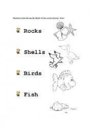 English Worksheet: At the beach