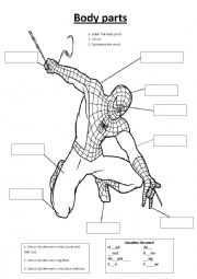 English Worksheet: Spiderman body parts