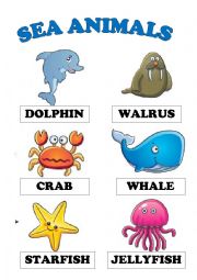English Worksheet: SEA ANIMALS