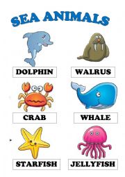 SEA ANIMALS