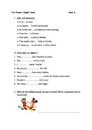 English Worksheet: Present Simple