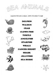 English Worksheet: SEA ANIMALS worksheet