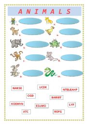 English Worksheet: ANIMALS