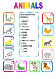 English Worksheet: ANIMALS