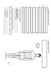 English Worksheet: reading about symptoms