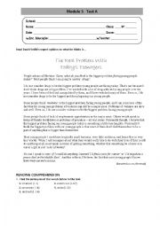 English Worksheet: Test on teenagers world