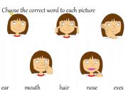 English Worksheet: the face