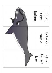English Worksheet: Posision 2 Whale