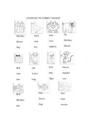 English Worksheet: animals