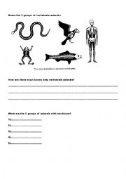 English Worksheet: Animal Classification - Vertebrates