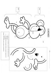 English Worksheet: A MONKEY