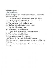 English Worksheet: adjective