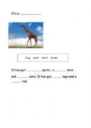 English Worksheet: has got 