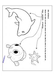 English Worksheet: SEA ANIMALS