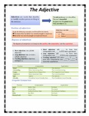 English Worksheet: The Adjective