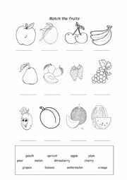 English Worksheet: Fruits Worksheet