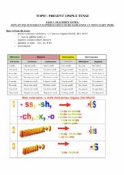 English Worksheet: PRESENT SIMPLE THEORY