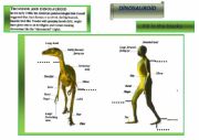 English Worksheet: DNOSAUROD