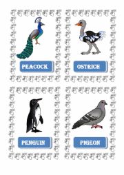 flashcard animals